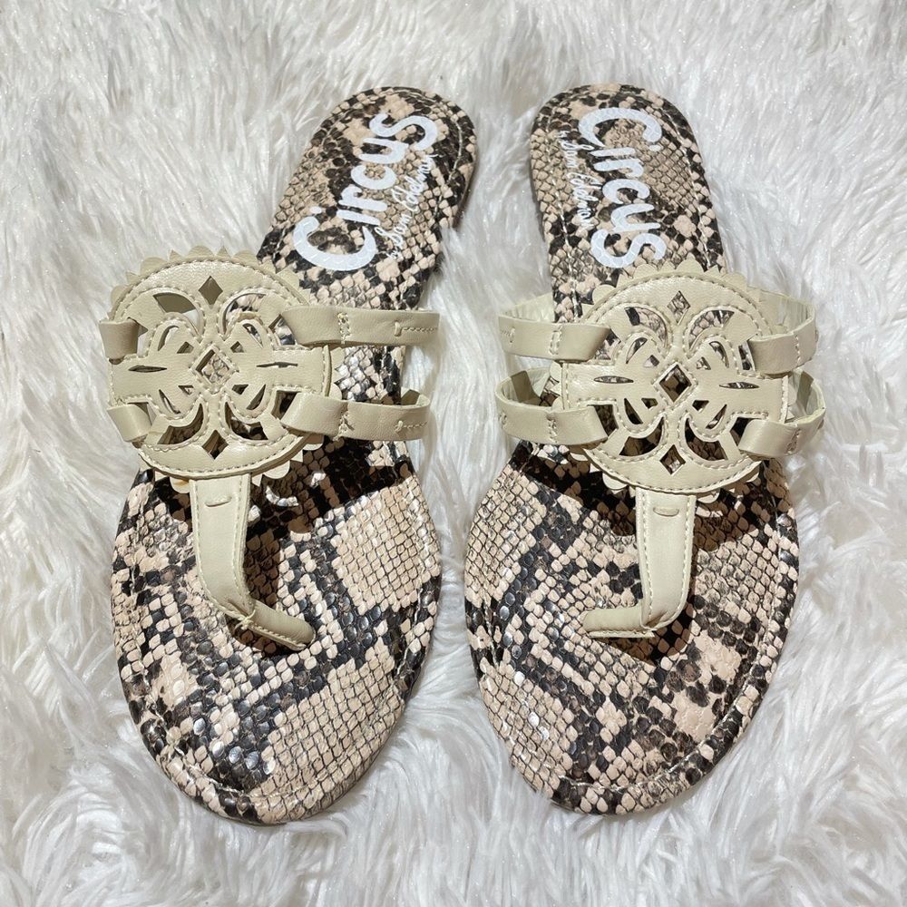 Sam Edelman Circus Snakeskin Canyon Sandals